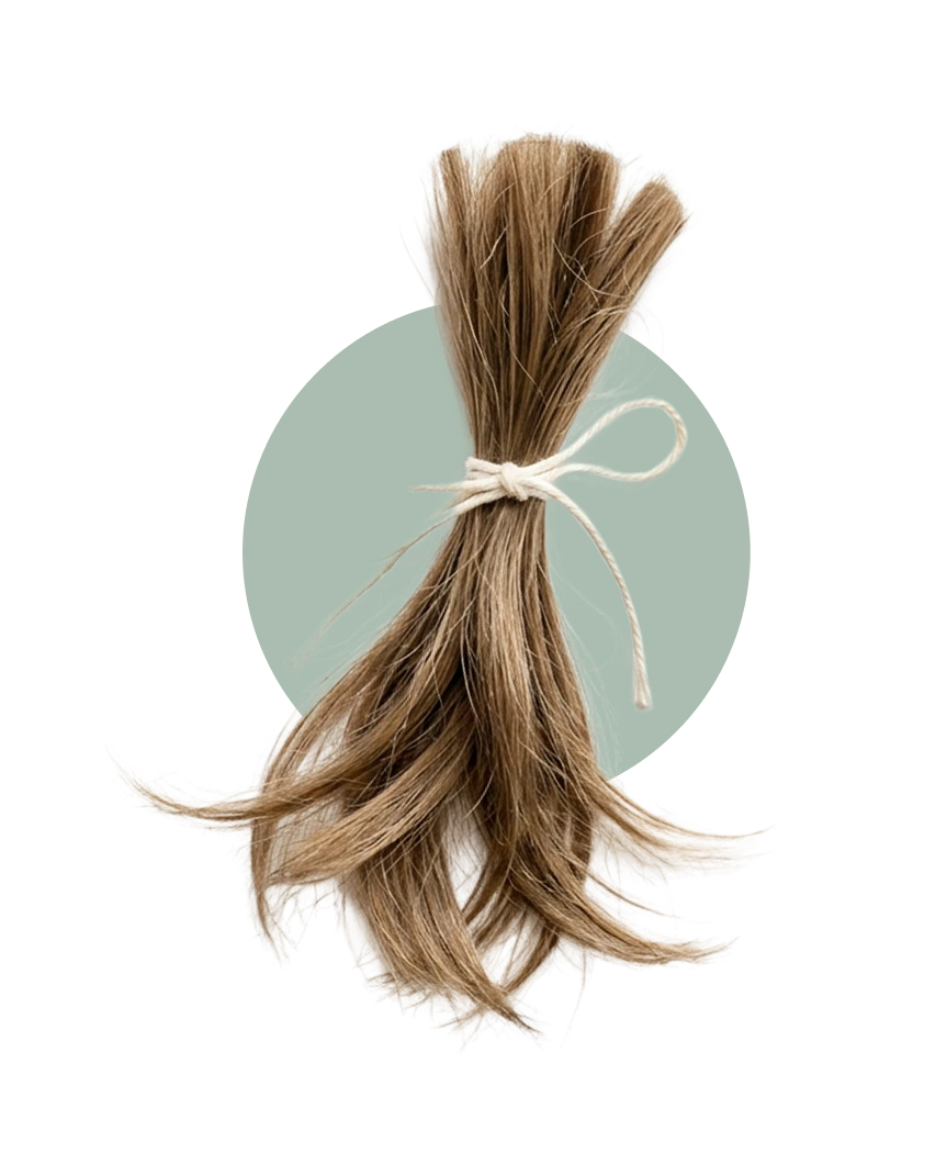 Amino Acid Complex Repairs Follicle Damage