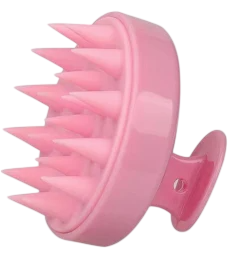 Scalp Brush